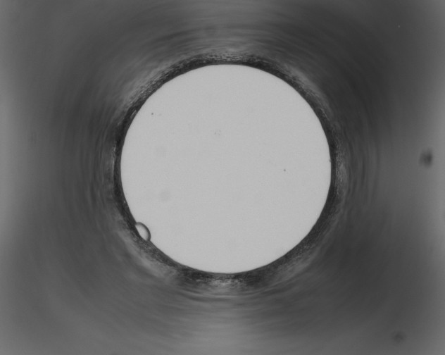 X0000115720493200912241608