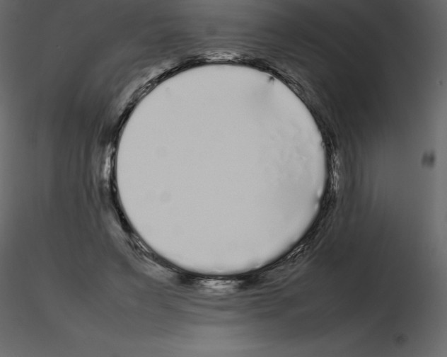 X0000115720495200912241608