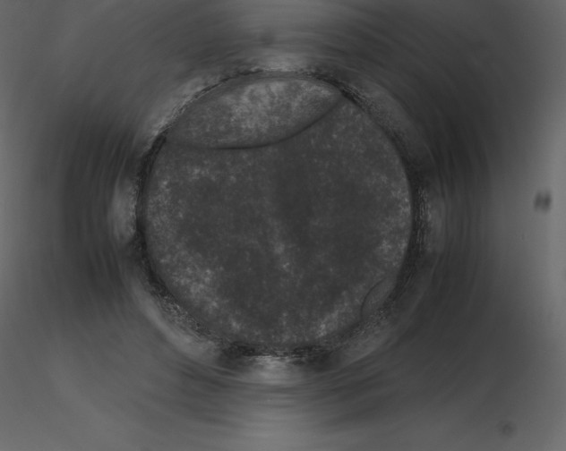X0000115720496200912241608