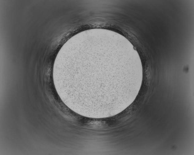 X0000115720499200912241608
