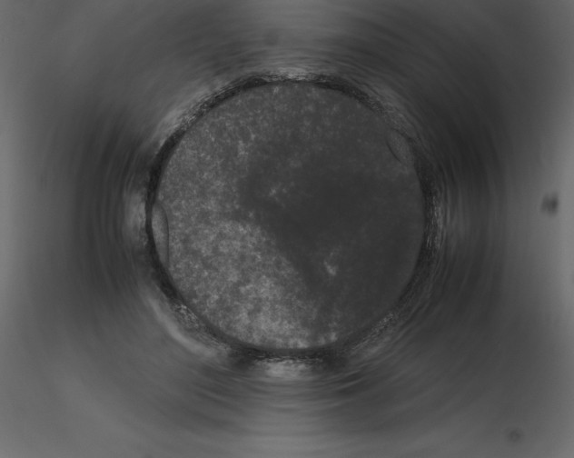 X0000115720500200912241608