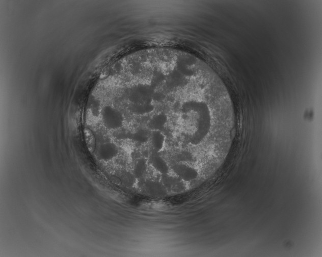 X0000115720503200912241608