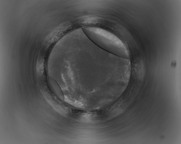 X0000115720504200912241608