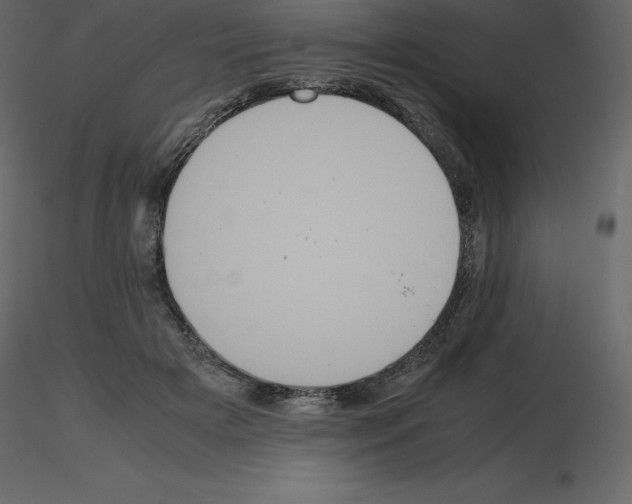 X0000115720505200912241608