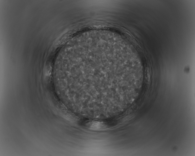 X0000115720507200912241608