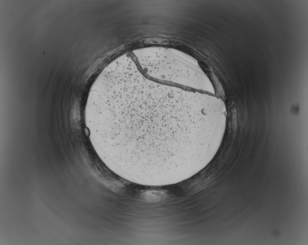 X0000115720508200912241608