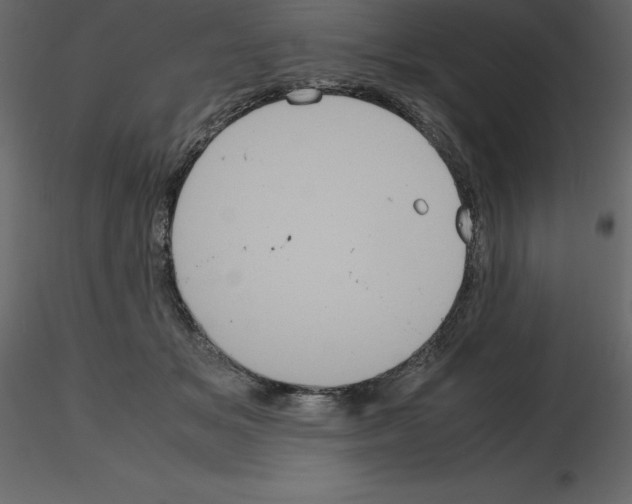 X0000115720509200912241608