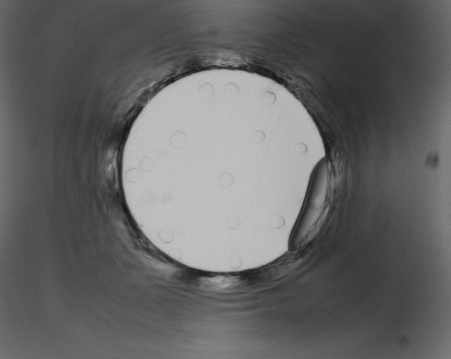 X0000115720511200912241607