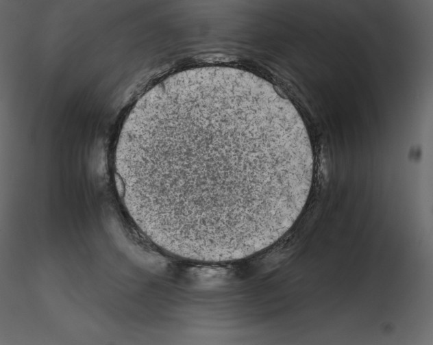 X0000115720512200912241607