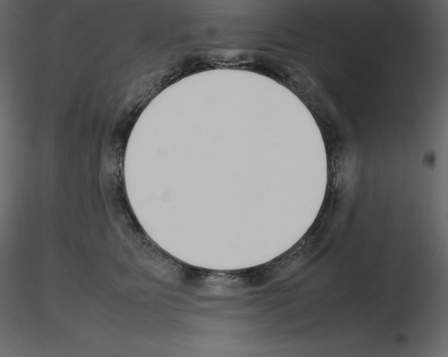 X0000115720515200912241607