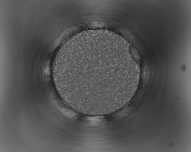 X0000115720516200912241607
