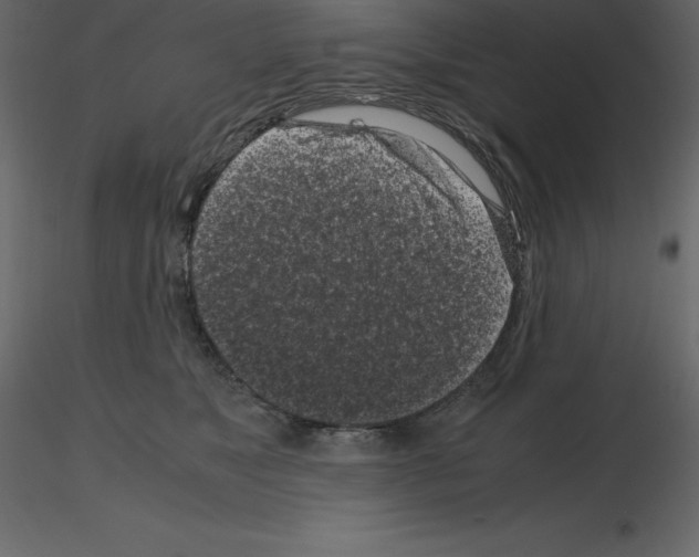 X0000115720517200912241607