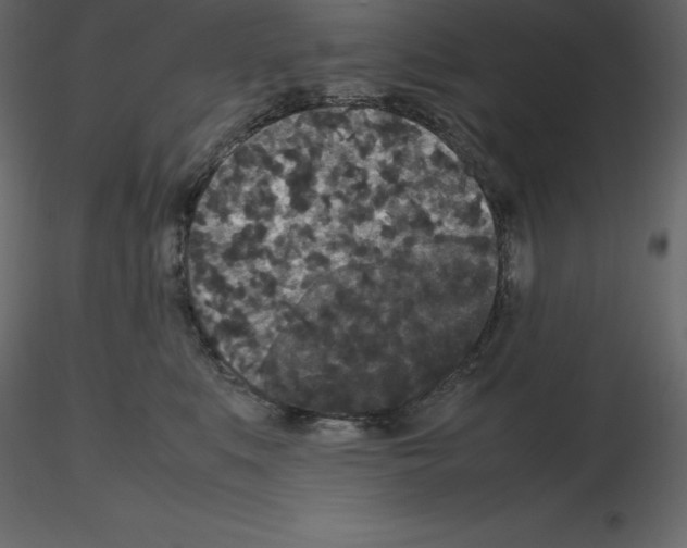 X0000115720519200912241607