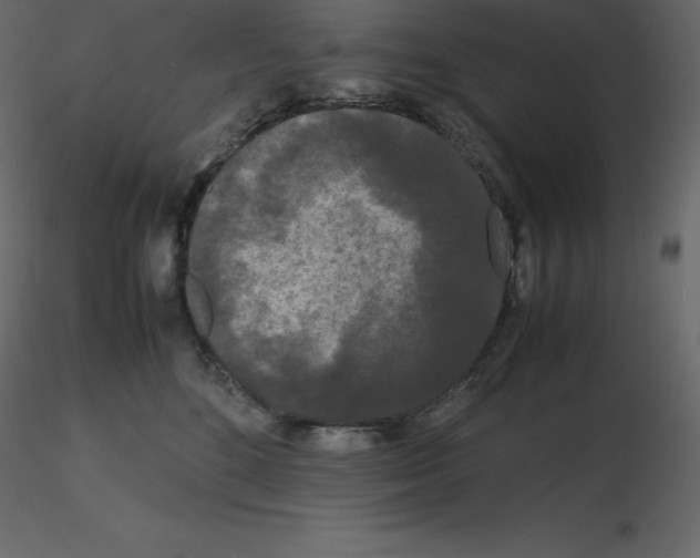 X0000115720520200912241607