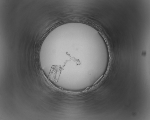 X0000115720521200912241607