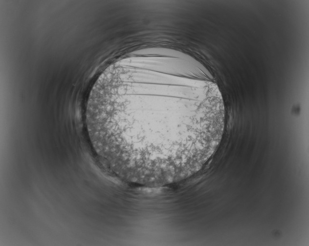 X0000115720524200912241607