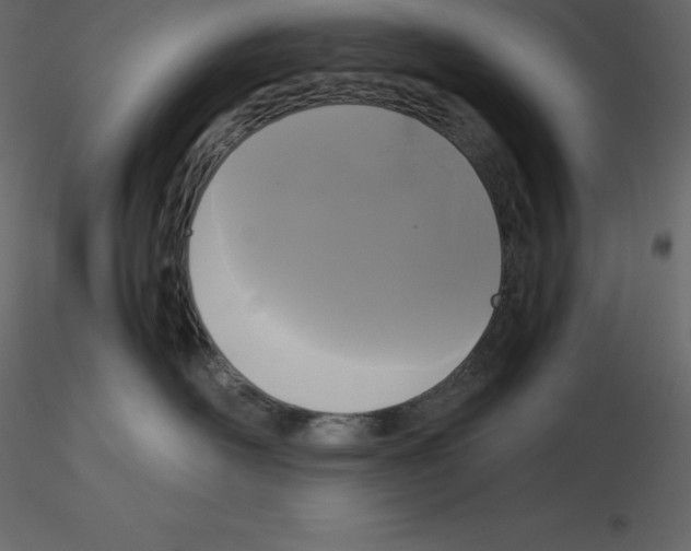 X0000115720526200912241607