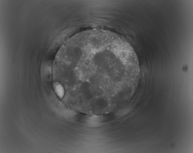 X0000115720527200912241607