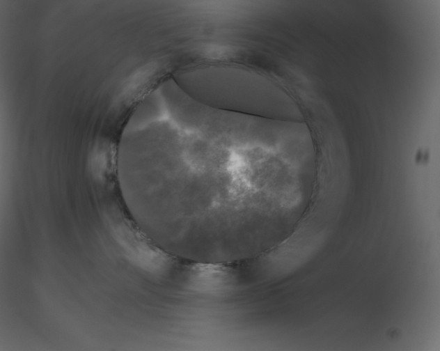 X0000115720528200912241607