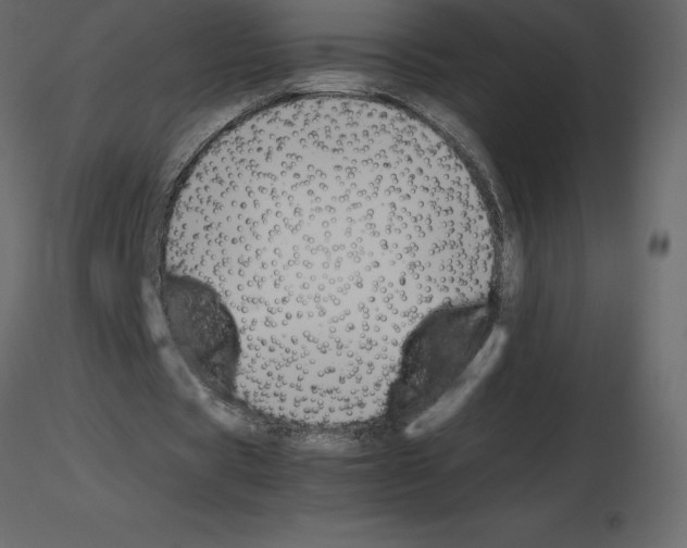X0000115720529200912241607