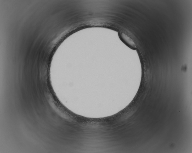 X0000115720530200912241607