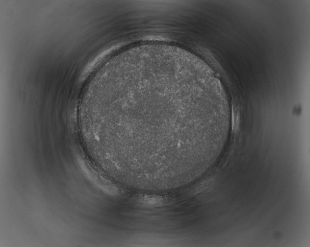 X0000115720531200912241607