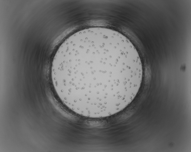 X0000115720533200912241607