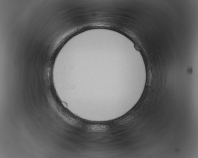 X0000115720535200912241607