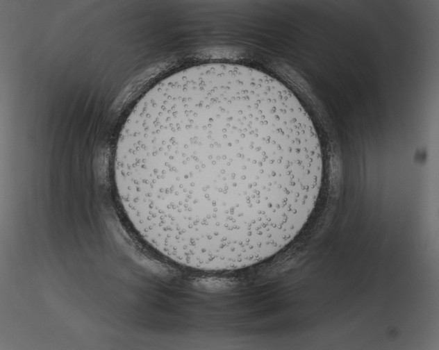 X0000115720537200912241607
