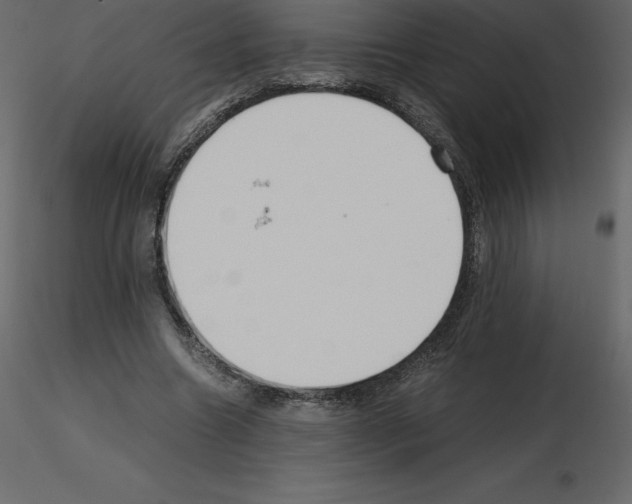 X0000115720538200912241607