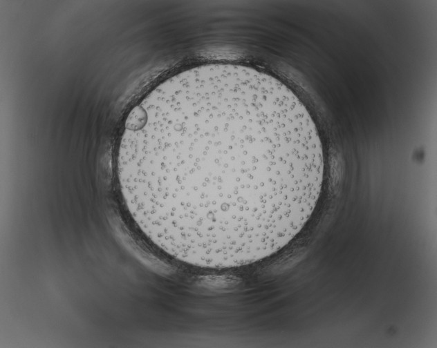 X0000115720541200912241607