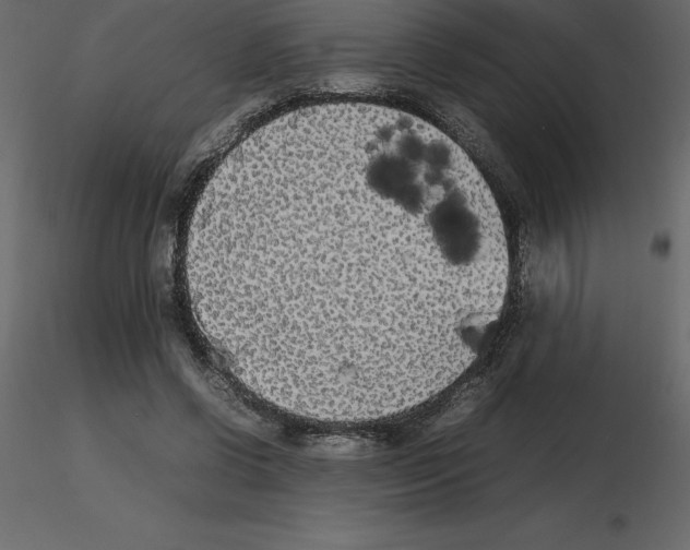X0000115720542200912241607