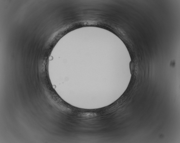 X0000115720543200912241607
