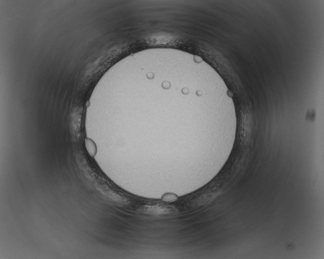 X0000115720545200912241607