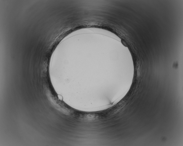 X0000115720546200912241607
