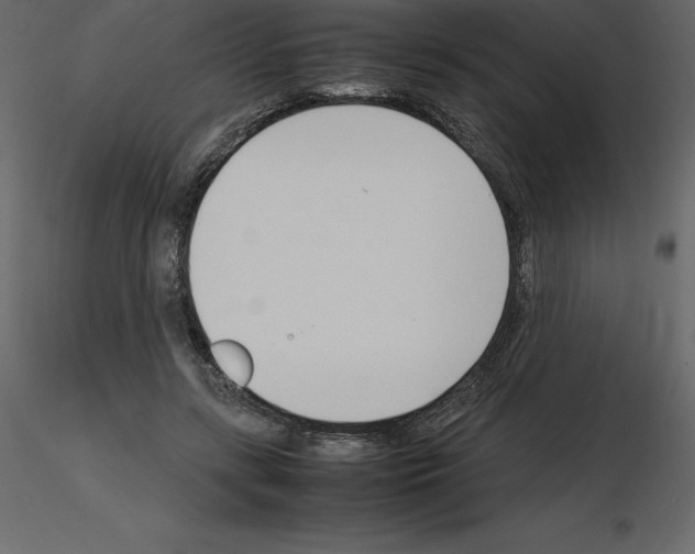 X0000115720547200912241607