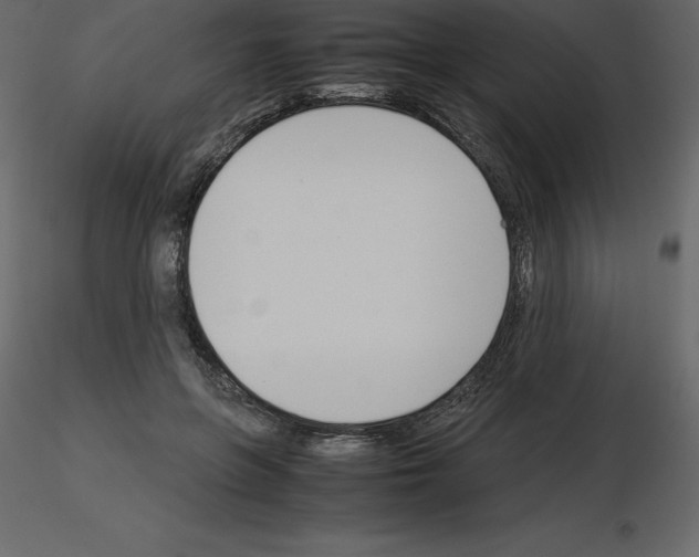 X0000115720551200912241607