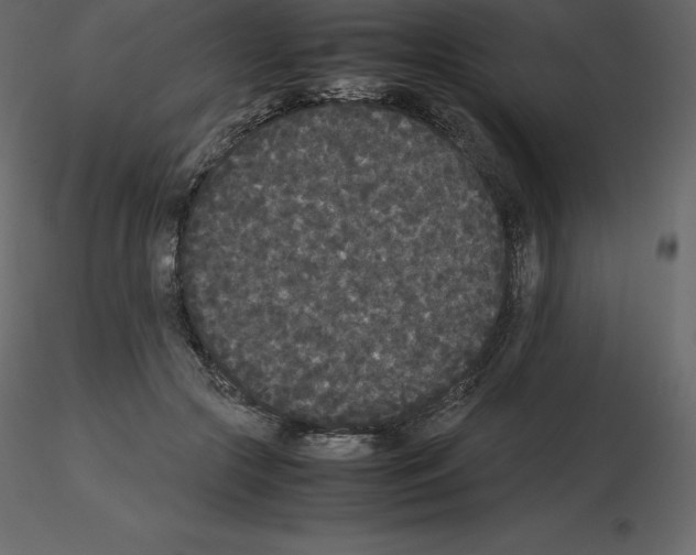 X0000115720553200912241607
