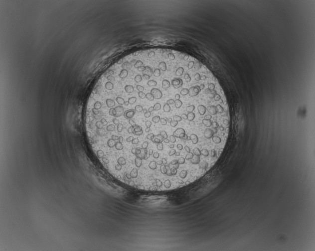 X0000115720554200912241607