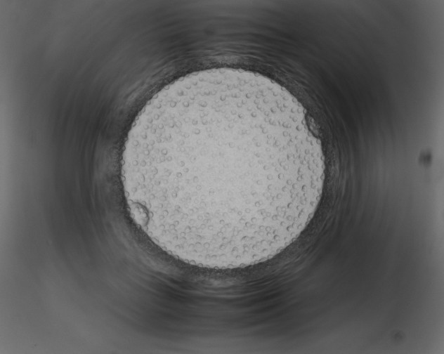 X0000115720555200912241607