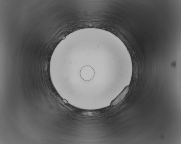 X0000115720558200912241607