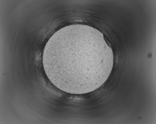 X0000115720559200912241607