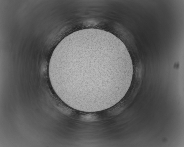X0000115720561200912241607