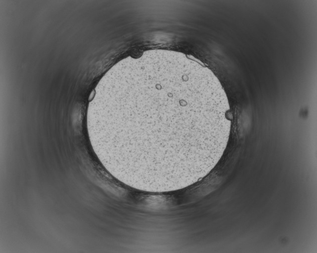 X0000115720562200912241607