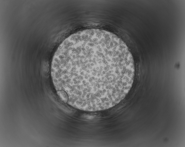 X0000115720563200912241607