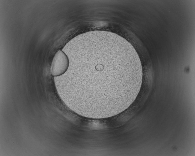 X0000115720565200912241607