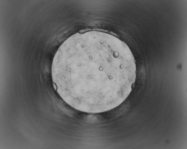 X0000115720566200912241607