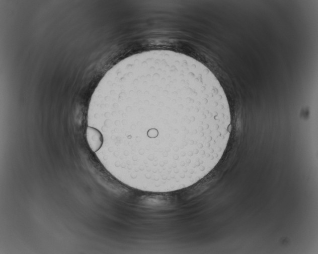 X0000115720567200912241607
