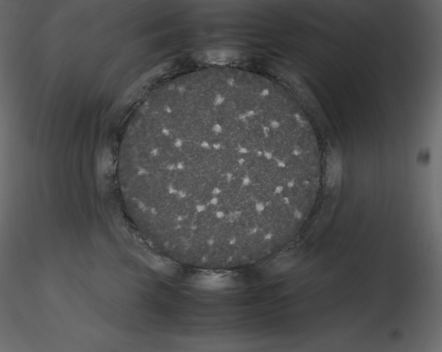 X0000115720569200912241607