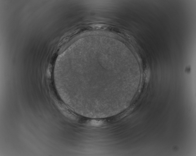 X0000115720570200912241607